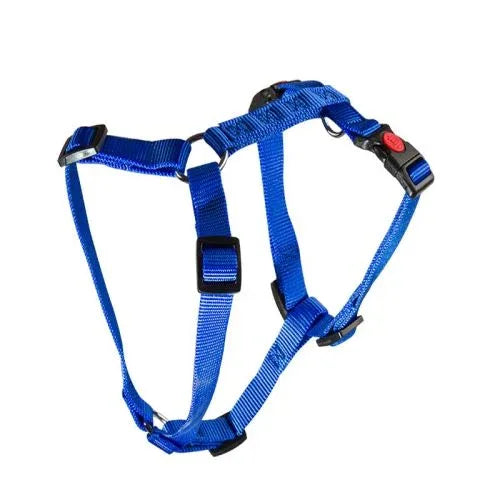 HAM PENTRU CAINI 3X AJUSTABIL NYLON BLUE CLICK 25 MM*65-100 CM - Petshop-constanta