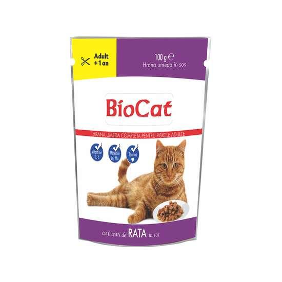 HRANA UMEDA PENTRU PISICI BIOCAT PLIC RATA IN SOS 100g (22/BAX) - Petshop-constanta