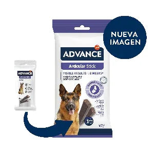 recompese caine, articulatii -punga-advance