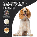 Vivo Adult Miel si Orez caini talie medie si mare - prebiotice Super XOS 3