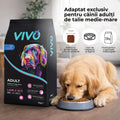 Vivo Adult Miel si Orez caini talie medie si mare - hrana super premium 6