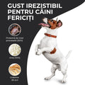 Vivo Adult Miel si Orez caini talie mica - prebiotice Super XOS pentru digestie 3