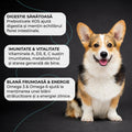 Vivo Adult Miel si Orez caini talie mica - Omega 3 si Omega 6 pentru blana sanatoasa 4