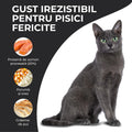 Vivo Adult Somon pisici - Omega 3 pentru blana stralucitoare 3