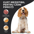 Vivo Adult Vita caini - pentru caini activi si catele in gestatie sau lactatie 3