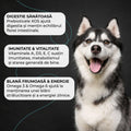 Vivo Adult Vita caini - prebiotice Super XOS pentru digestie 4