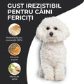 Vivo Junior Pui catei talie mica - prebiotice Super XOS pentru digestie 3