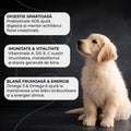Vivo Junior Pui catei talie mica - Omega 3 si Omega 6 4