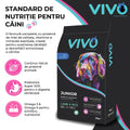 Vivo Junior Miel si Orez catei talie medie si mare - proteina de miel 20% 2