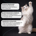 Vivo Skincare Somon pisici - prebiotice Super XOS pentru digestie 4