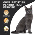 Vivo Sterilised Pui pisici sterilizate - control greutate cu L-carnitina 3