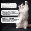 Vivo Sterilised Pui pisici sterilizate - fibre naturale pentru satietate 4