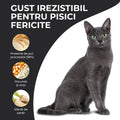 Vivo Adult Pui pisici - taurina pentru inima si vedere 3
