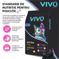 Vivo Kitten Pui pisoi - proteina de pui 40% 2