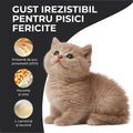 Vivo Kitten Pui pisoi - taurina pentru dezvoltarea inimii si vederii 3