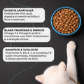 Vivo Kitten Pui pisoi - prebiotice duble XOS si MOS 4